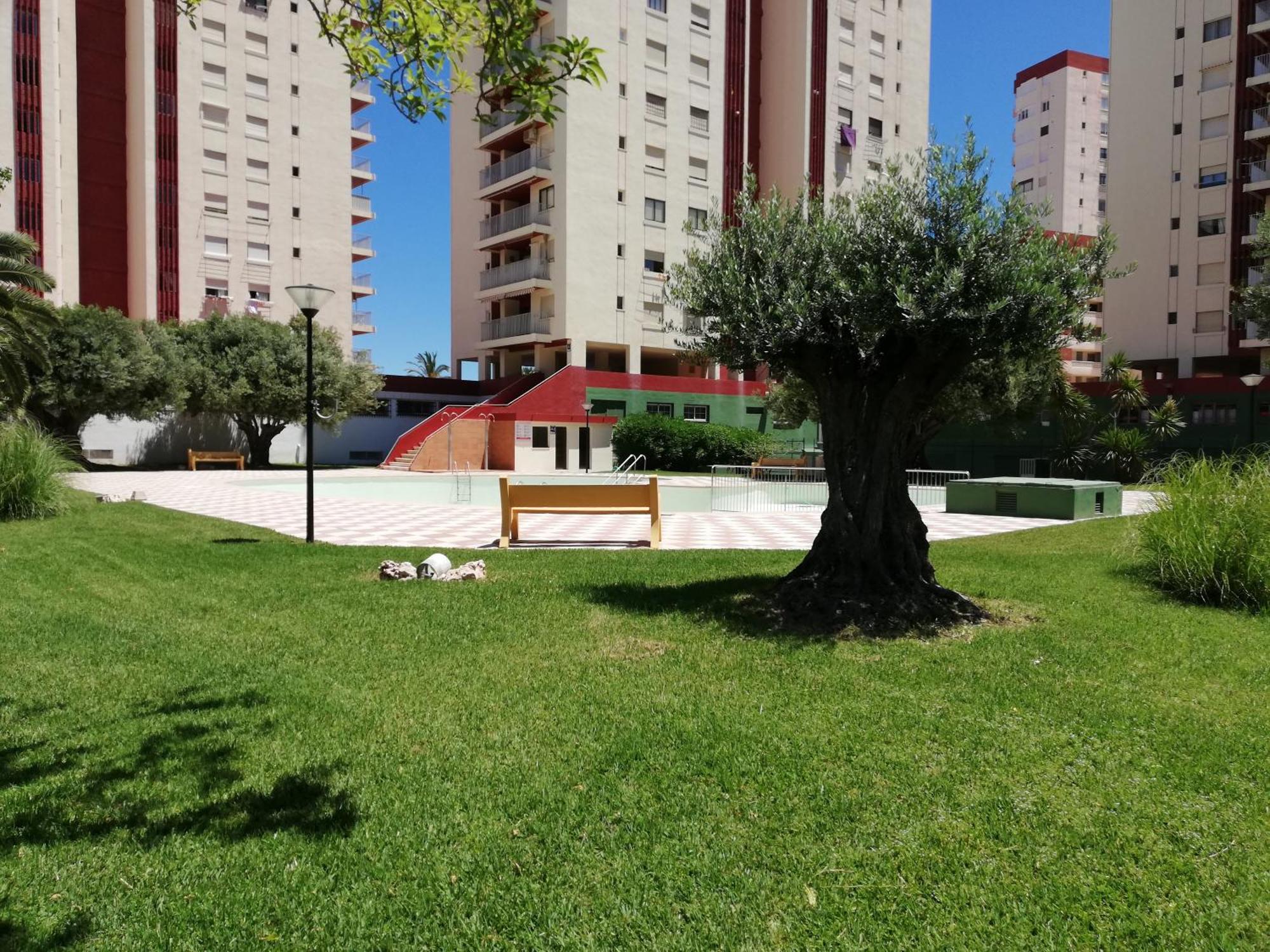 Danio Solo Familia Serviplaya Playa de Gandia Ngoại thất bức ảnh